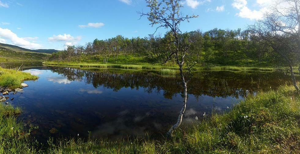 Mikkelvik Brygge Villa Mikkelvika Eksteriør billede
